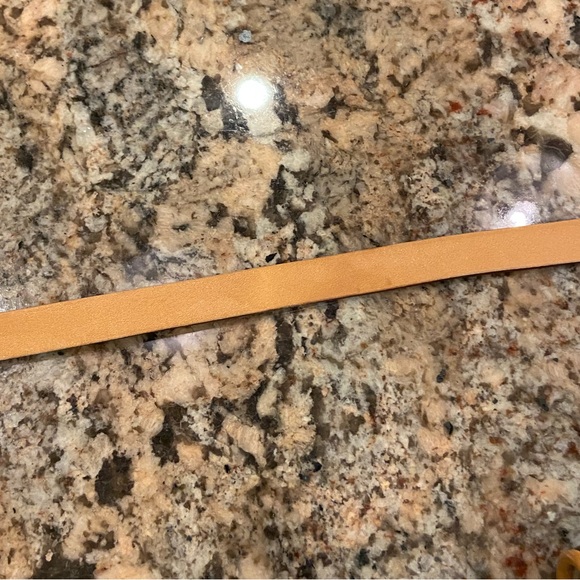 Louis Vuitton Florentine Belt Bag - Picture 12 of 16